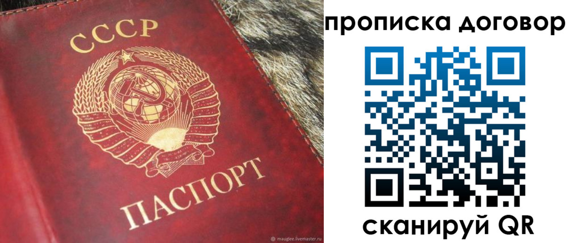 временная регистрация надежно в Саранске
